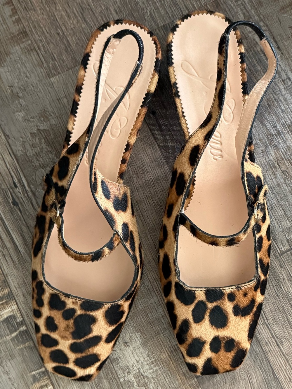 j crew Leopard Print Slingback Pumps - Women size 8